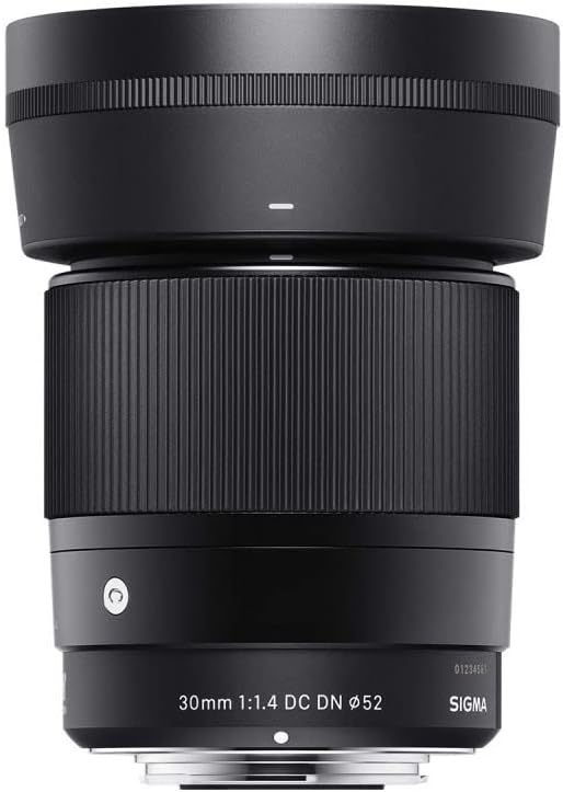 Sigma 30 mm f1.4 DC DN Zeitgenössisches Objektiv - L-Mount