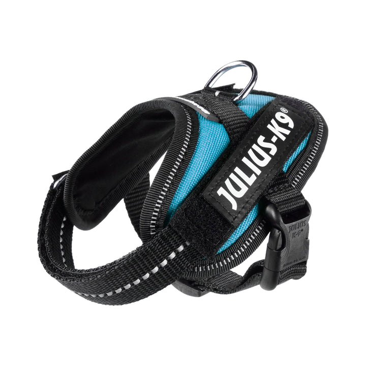 Julius-K9, IDC Powergeschirr, Grösse: 3XS / Baby 1, Aquamarine Aquamarine 3XS / Baby 1, Aquamarine 3