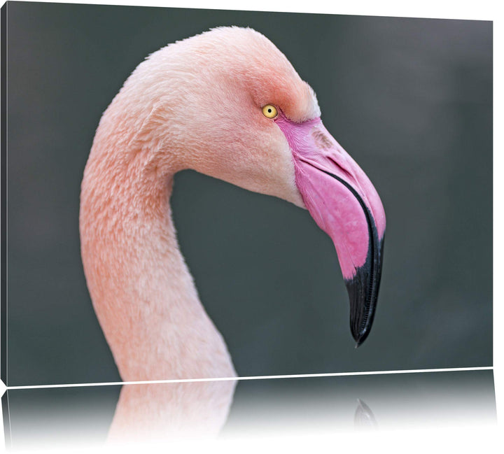 Pixxprint Flamingo im Seitenprofil auf Leinwand, XXL riesige Bilder fertig gerahmt mit Keilrahmen, K