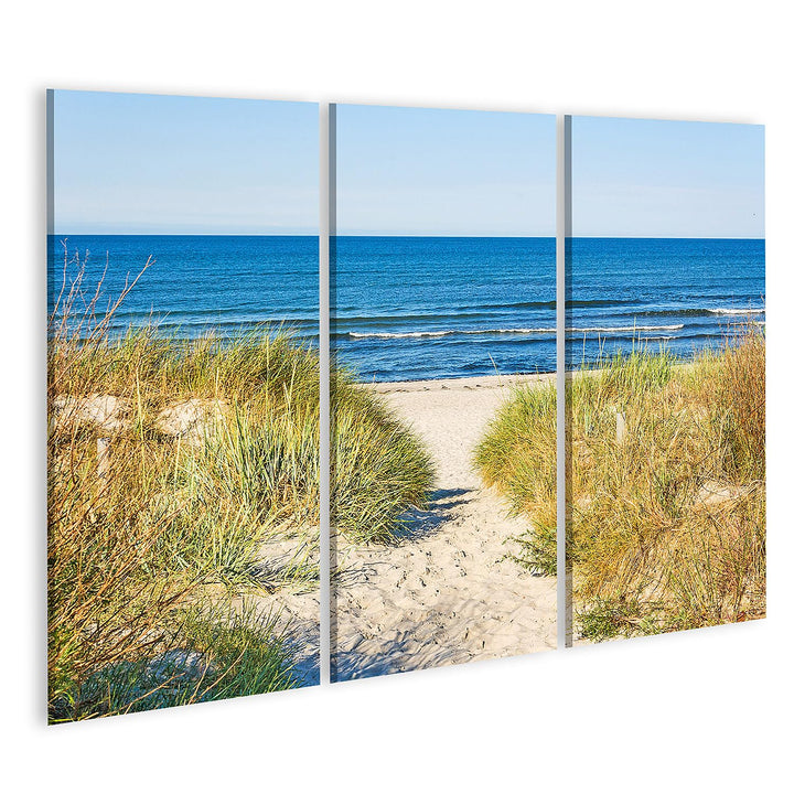 islandburner Bild auf Leinwand Weg Zum Strand An Ostsee Mit Strandhafer Bilder Wandbilder Poster Lei
