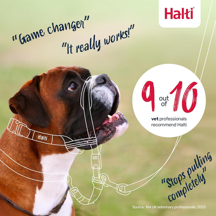 Halti Optifit Halfter und Trainingsleine Kombipack, Stop Dog Pulling on Walks with Halti, Inklusive