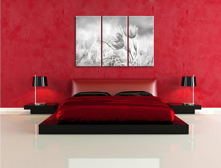 Pixxprint schöne Krokusse Kunst als Leinwandbild/Grösse: 3 Teilig (120x80) / Wandbild/Kunstdruck/fer