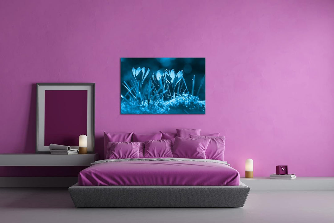 deyoli beeindruckende Krokusse im Frühling Format 80x60 Effekt: Monocrome Blau als Leinwandbild, Mot