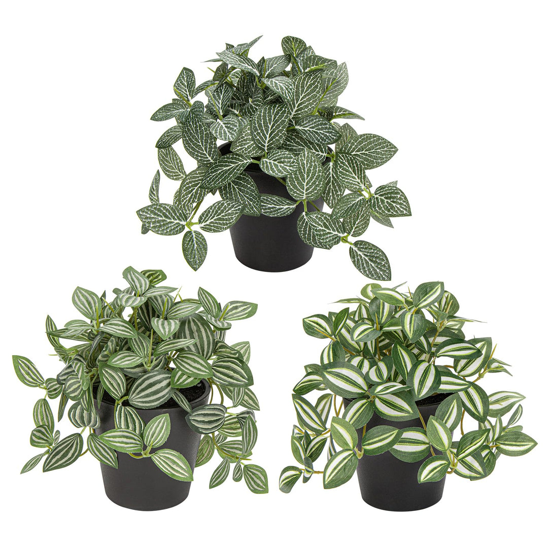 Oairse 3er-Set Künstliche Pflanzen Mini Kunstpflanze Deko Modern Künstliche Pflanzen Hängend Zimmerp