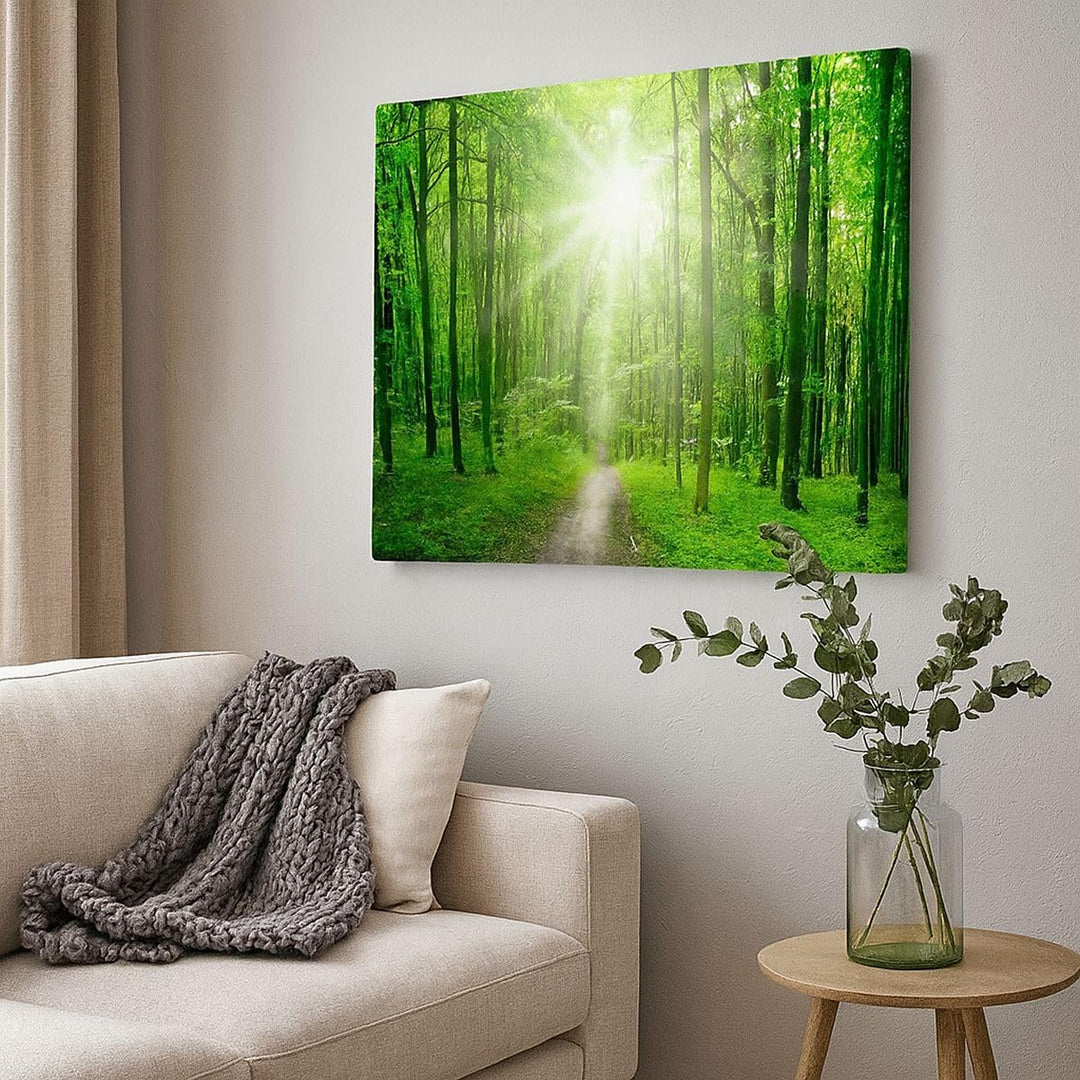 Bilder auf Leinwand Sonnenstrahlen Wald Sommer Leinwandbild 70x50cm Wandbilder Dekoration Wohnzimmer
