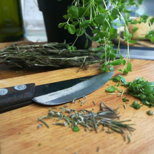 AUTHENTIC BLADES VAY, asiatisches Küchenmesser, Klinge aus Kohlenstoffstahl (12 cm Klinge), 12 cm