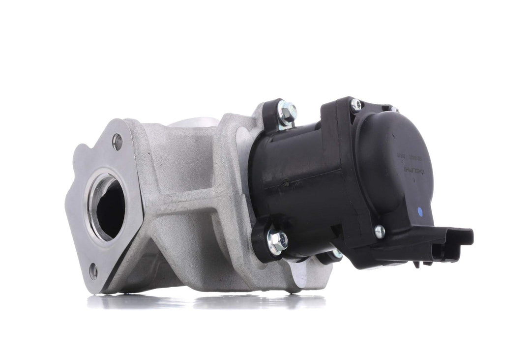 Delphi Agr-Ventil EG10401-12B1