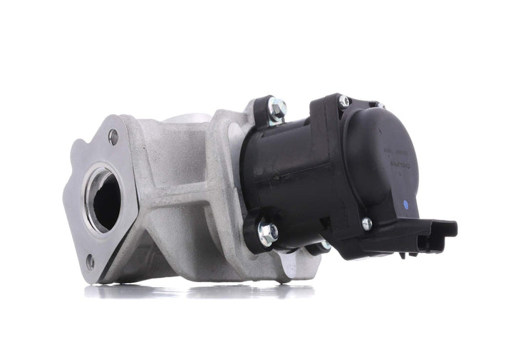 Delphi Agr-Ventil EG10401-12B1