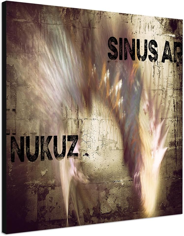 Paul Sinus Art Bild auf Leinwand Abstrakt325_60x60cm Abstraktes Bild - Fremde Sehnuscht - quadratisc