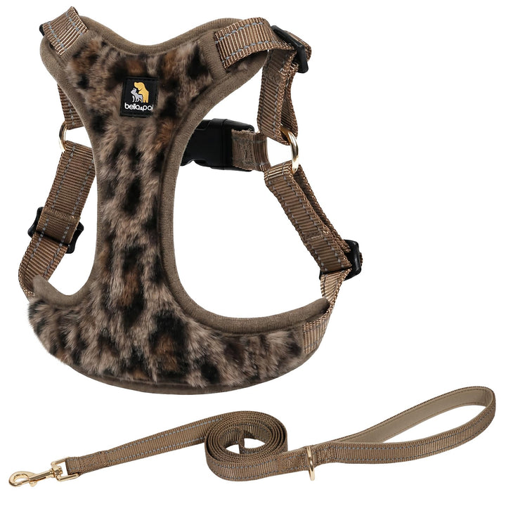BELLA &amp; PAL Hundegeschirr mit Leine Set, Step-in Geschirr für Welpen/kleine/mittelgrosse Hunde, weic