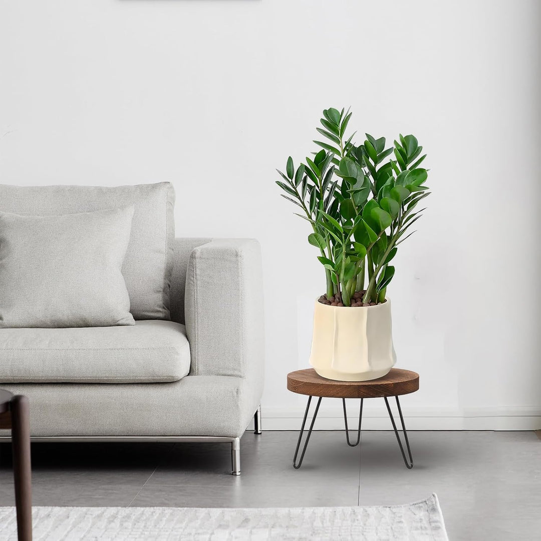 Pflanzenständer Holz, Pflanzenhocker Holz Klein, Blumenbank für Innen Blumenständer Rund Hohe Belast
