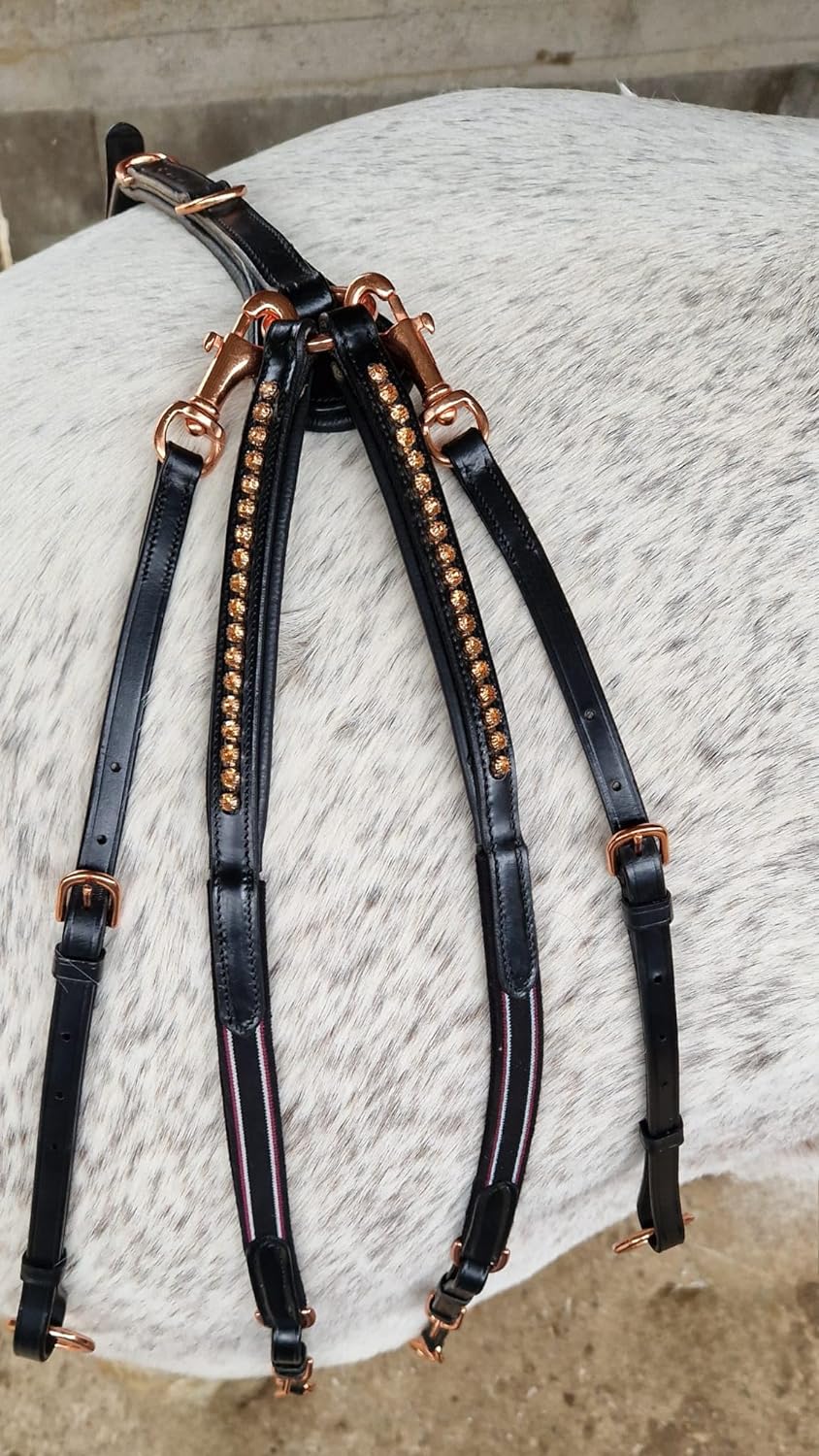 Tysons Breeches Vorderzeug Deister Schwarz Rosegold Roségold Super BUTTERWEICHES Leder VB WB X Full