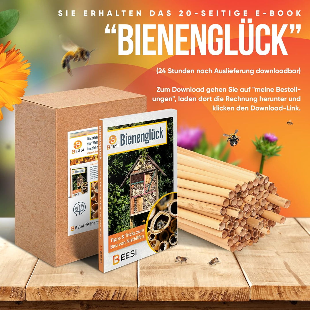 BEESI 200x Nisthülsen 14 cm lang für Insektenhotel aus Schilf I Durchmesser 4-7 mm inkl. E-Book I Fü