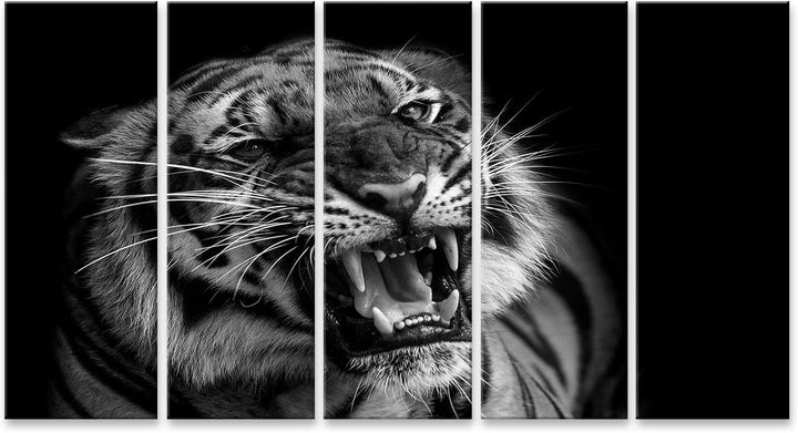 islandburner Bild auf Leinwand Sumatra Tiger Raubkatze Bilder Wandbilder Poster Leinwand 160x80cm -