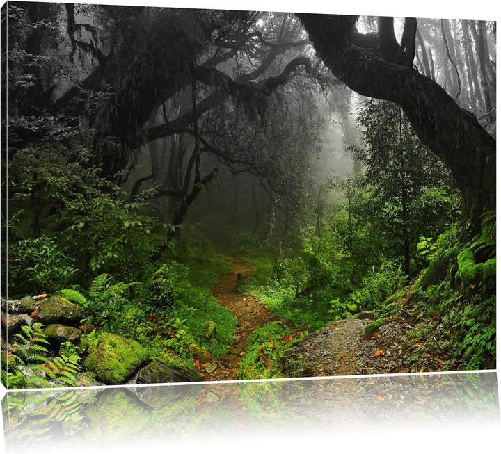 Pixxprint Mystischer Regenwald Schwarz/Weiss, Format: 100x70 auf Leinwand, riesige Bilder fertig ger