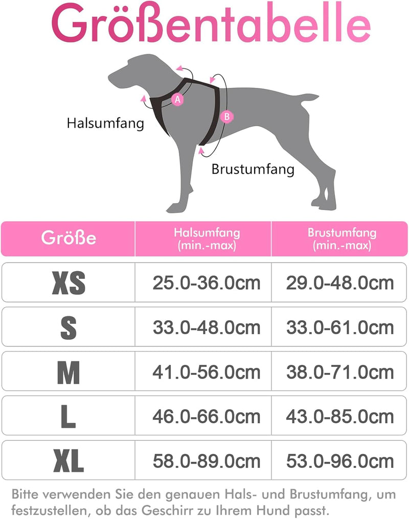 rabbitgoo Hundegeschirr Kleine Hunde Anti Zug Geschirr Hund mit Kontrolle No Pull Verstellbar Hundeg