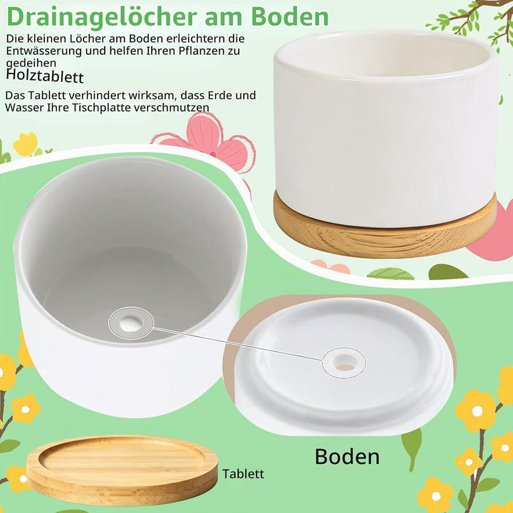 DIY-Keramik Bemalen Set Blumentopf zum Bemalen Kinder Blumentöpfe (Rund) | mit 2 Töpfen Gartenwerkze