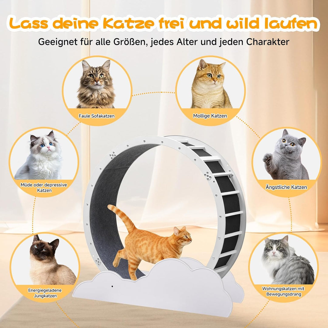 GTPLAYER Katzenlaufrad, laufrad Katze, Extra grosser 100 cm, ultraleises Laufrad mit Abnehmbarer Tep