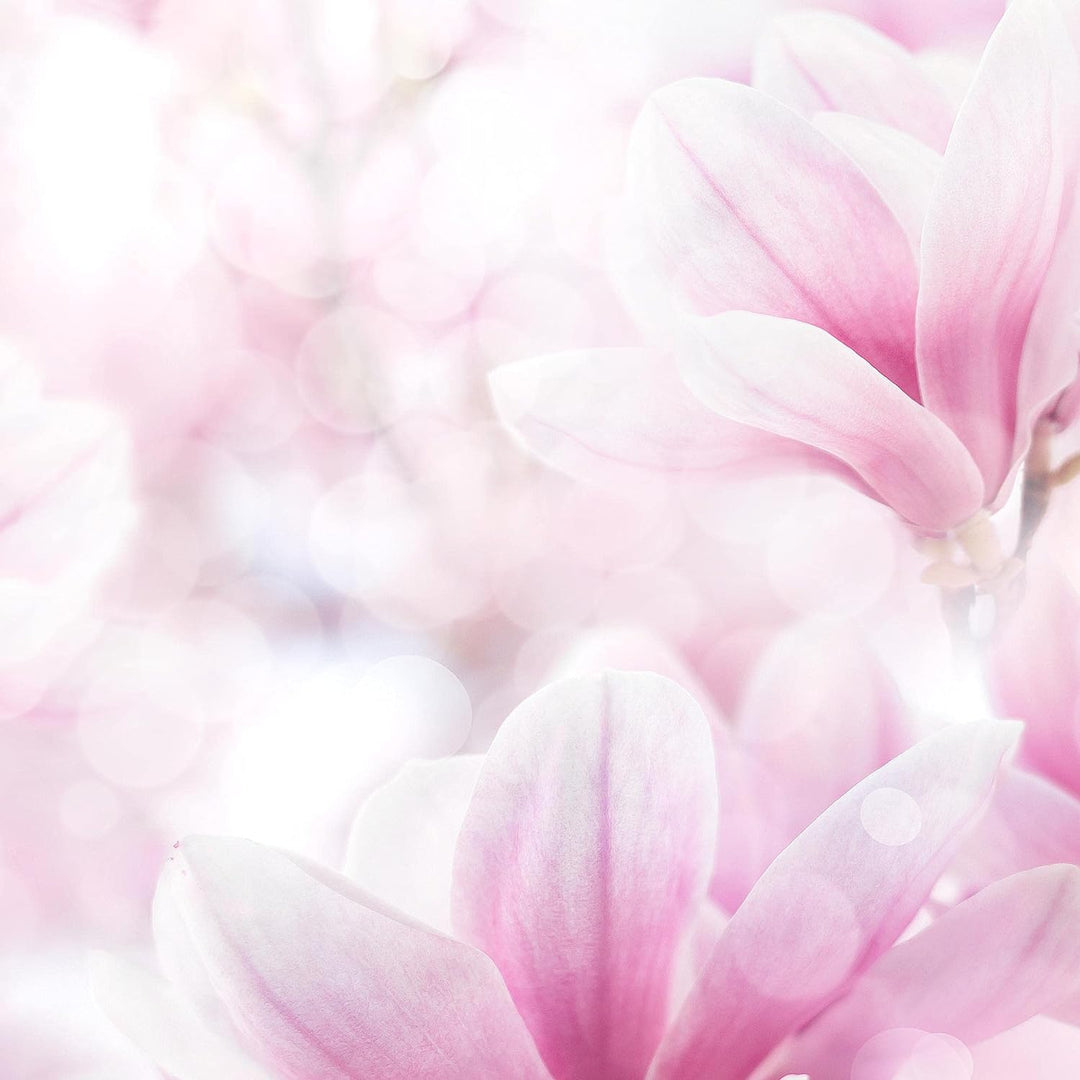 Runa Art Wandbilder Blumen Magnolien 5 Teilig Bild auf Vlies Leinwand Deko Wohnzimmer Blumenmotiv Ro