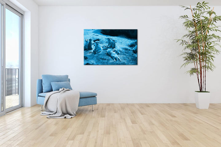 deyoli niedliche Erdmännchen Familie Format 80x60 Effekt: Monocrome Blau als Leinwandbild, Motiv fer
