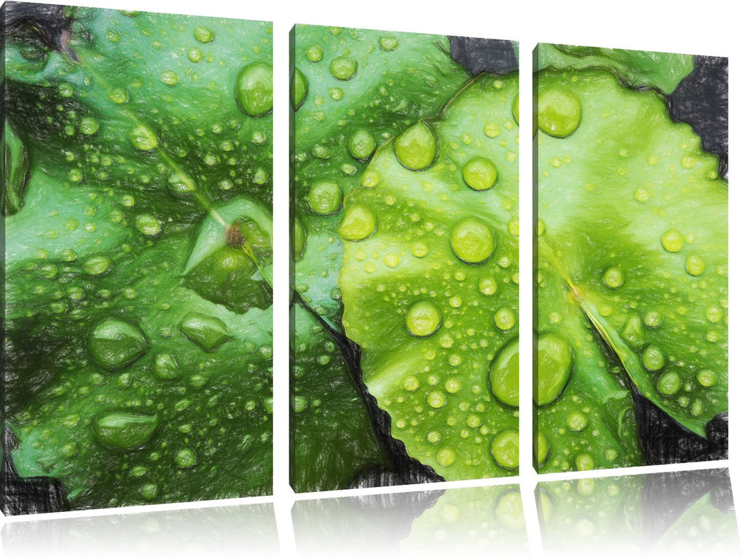 Pixxprint die Blätter mit den Wassertropfen Kunst Buntstift Effekt 3-Teiler Leinwandbild 120x80 Bild