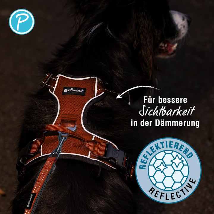 Petlando Hundegeschirr Outdoor – stark reflektierend, gepolstert, atmungsaktiv, robust, stufenlos ve