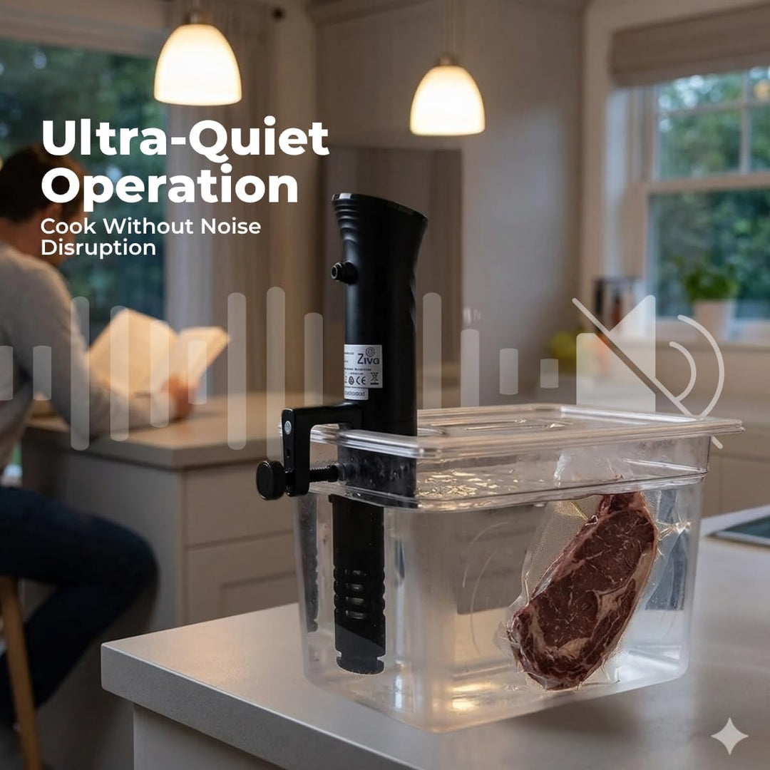 Ziva Savant Sous Vide Stick 1200 W Präzisionskocher mit LCD-Touch IPX7 wasserdicht geeignet bis 30 L