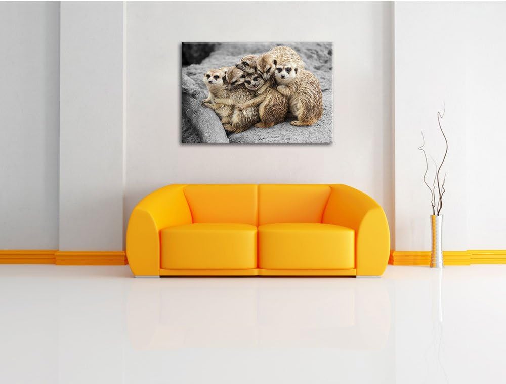 süsse Erdmännchen kuscheln schwarz/weiss Format: 100x70 auf Leinwand, XXL riesige Bilder fertig gera