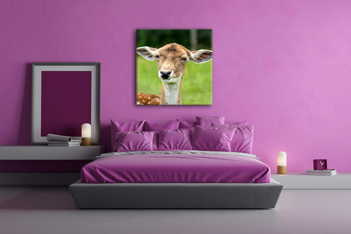 deyoli Anmutiger Hirsch Format: 60x60 als Leinwandbild, Motiv fertig gerahmt auf Echtholzrahmen, Hoc