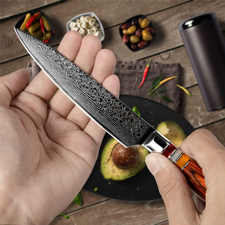 FANTECK 16cm Küchenmesser Damastmesser, Obstmesser Scharf Kochmesser Profi Chef Messer 67-Schicht VG
