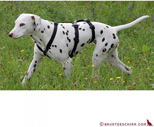 Hoffmann NoExit Hundegeschirr® - ausbruchssicher, Panikgeschirr, braun mit beigen Pfötchen, Bauchumf