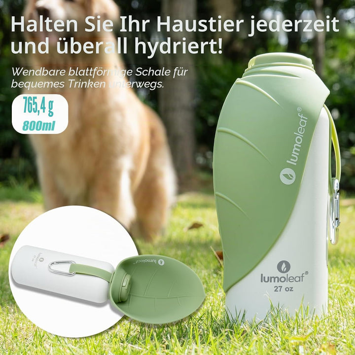 LumoLeaf Isolierte Edelstahl-Wasserflasche für Hunde, 800 ml – Hält Wasser stundenlang kühl oder war