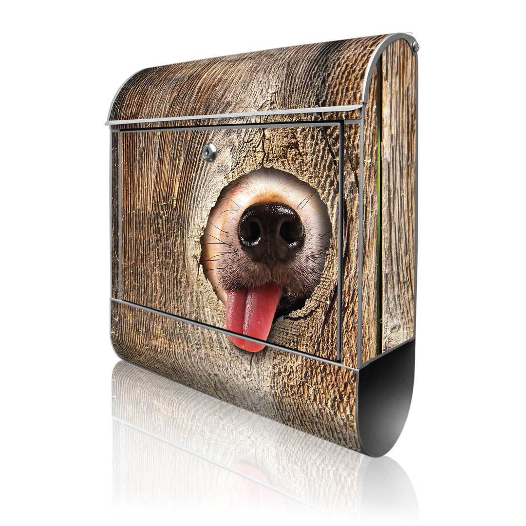 banjado® Design Briefkasten mit Motiv Rumschnüffeln 39x47x14cm &amp; 2 Schlüssel - Briefkasten Stahl Sil