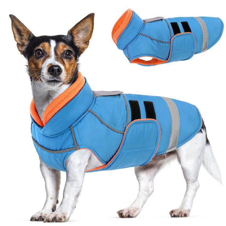 CITÉTOILE Wasserdichter Hundemantel mit Leinenöffnung Blau S | Zweifarbige Hundejacke mit Klettversc