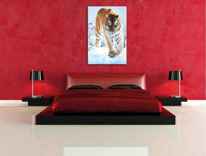 Tiger im Schnee, Format: 100x70 auf Leinwand, XXL riesige Bilder fertig gerahmt mit Keilrahmen, Kuns