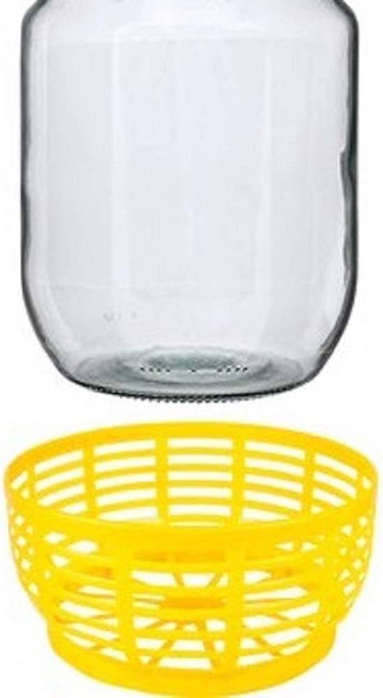 lilawelt24 4 STÜCK 5L GLASBALLON mit Kunststoffkorb Weinballon GÄRBALLON GLASFLASCHE