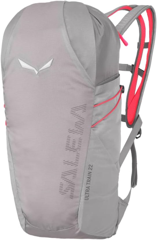 Salewa Unisex Ultra Train 22l Backpack Backpack (1er Pack) Einheitsgrösse Alloy, Einheitsgrösse Allo