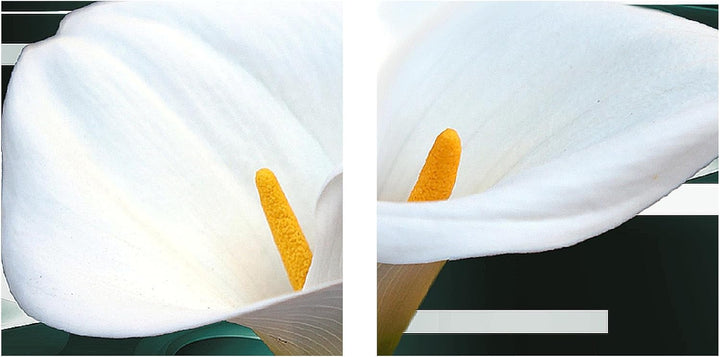 Runa Art Bild Modern Blumen Calla - Made in Germany - Wandbilder Abstrakt Türkis Weiss 4 Teilig 2026