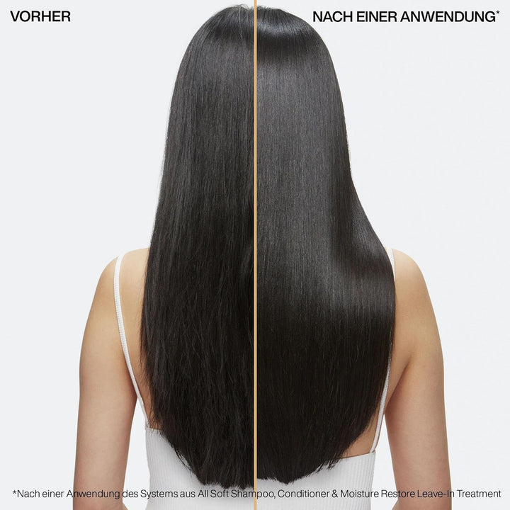 Redken Haarshampoo für trockenes und brüchiges Haar, Belebt und hydratisiert, Mit Omega-6 und Argan-