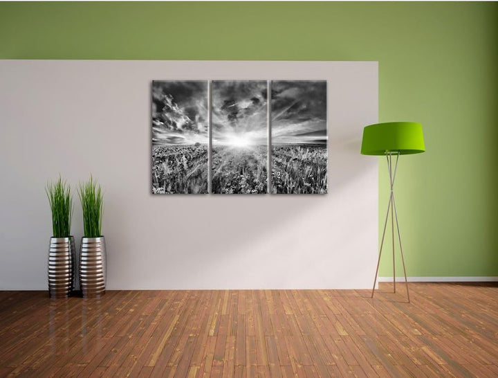 Pixxprint Monocrome, Blühende Mohnwiese in der Sonne 3-Teiler Leinwandbild 120x80 Bild auf Leinwand