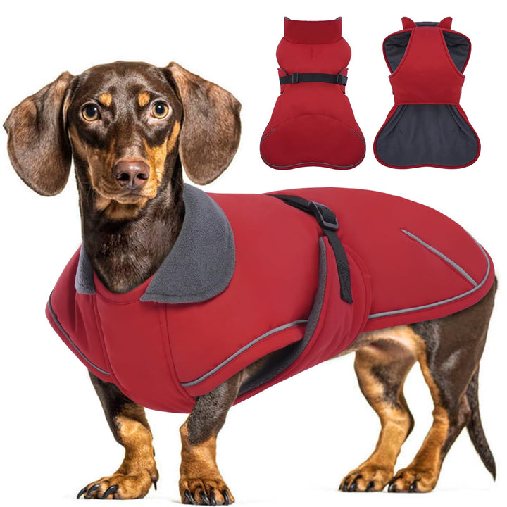 Hundemantel Dackel, Winddichter Wasserdichter Wintermantel Für Kleine Hunde S, Hundemantel Winter Mi