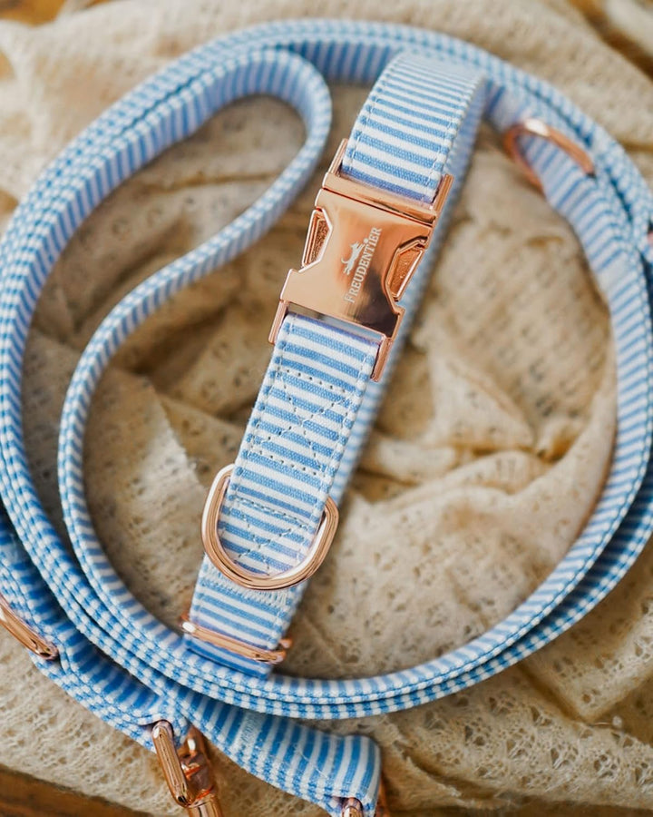 FREUDENTIER® Hundehalsband & Hundeleine aus Canvas im Set - 2m lang & 3-Fach verstellbar - Lighthous