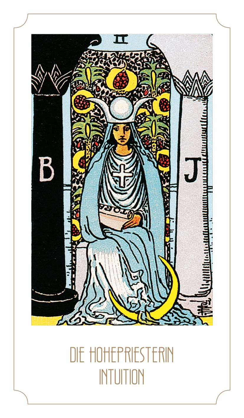 Tarot Young - Feel the vibes: 78 Tarotkarten und 208-seitiges Buch, Gebundenes Buch