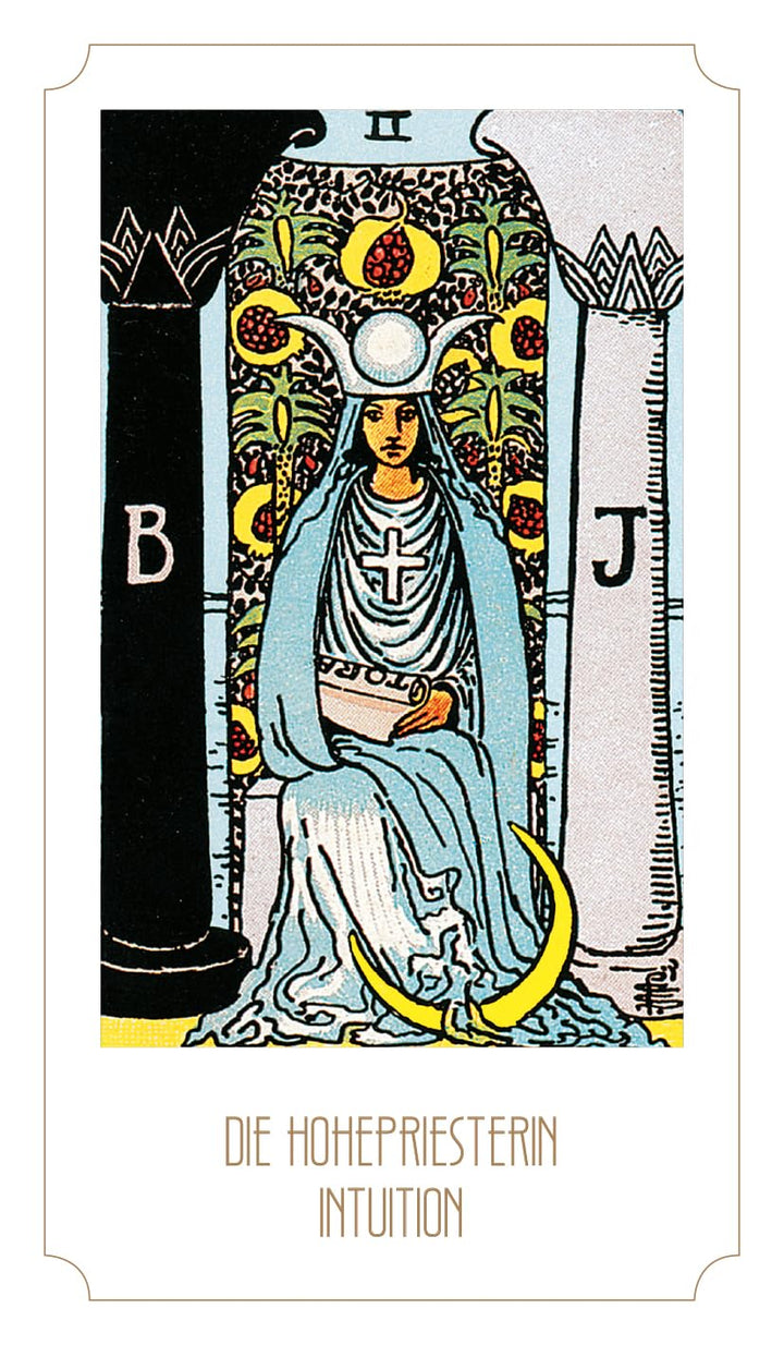 Tarot Young - Feel the vibes: 78 Tarotkarten und 208-seitiges Buch, Gebundenes Buch