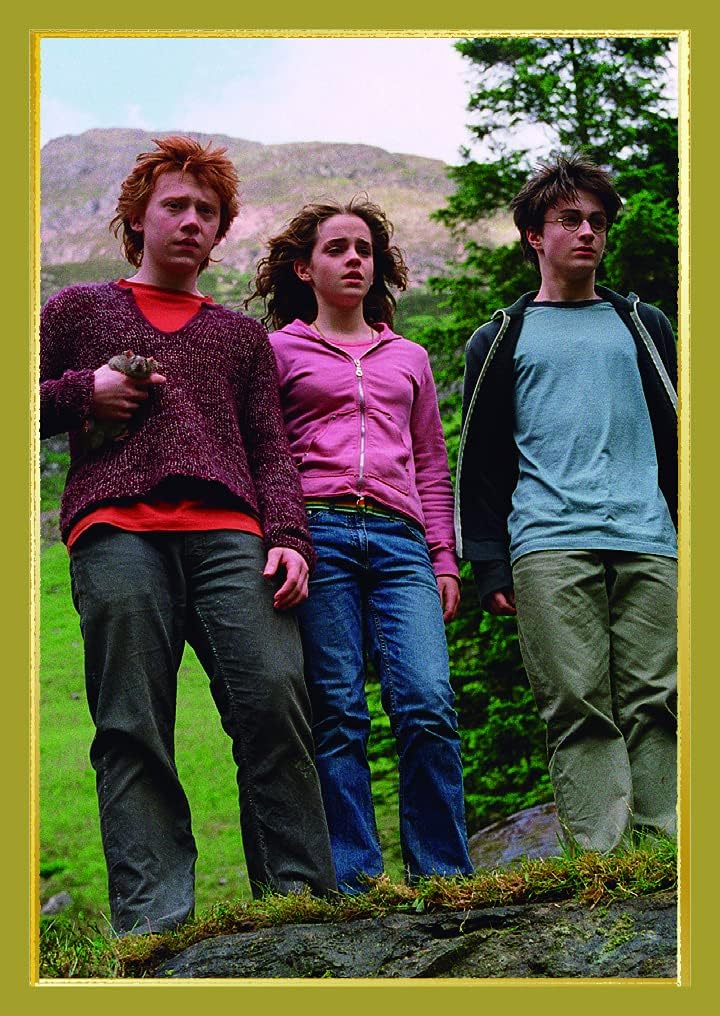 Panini Harry Potter Witches & Wizards Sticker Collection Treasure Box, 1 (Französische Version) Scha