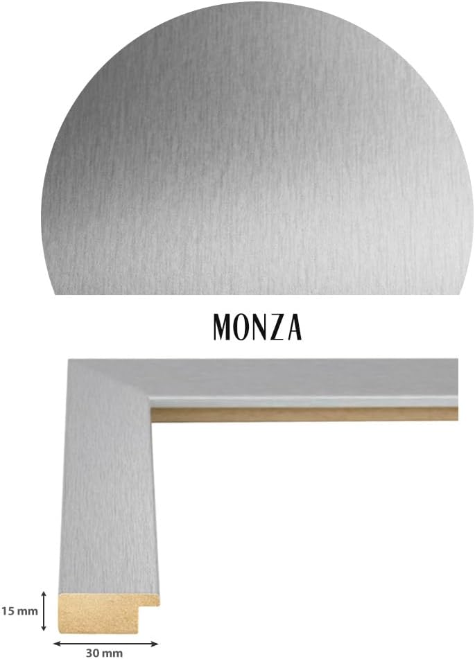 Bildershop-24 Bilderrahmen Monza in Silber in 62 X 93 Fotorahmen, Wechselrahmen, Posterrahmen, Puzzl