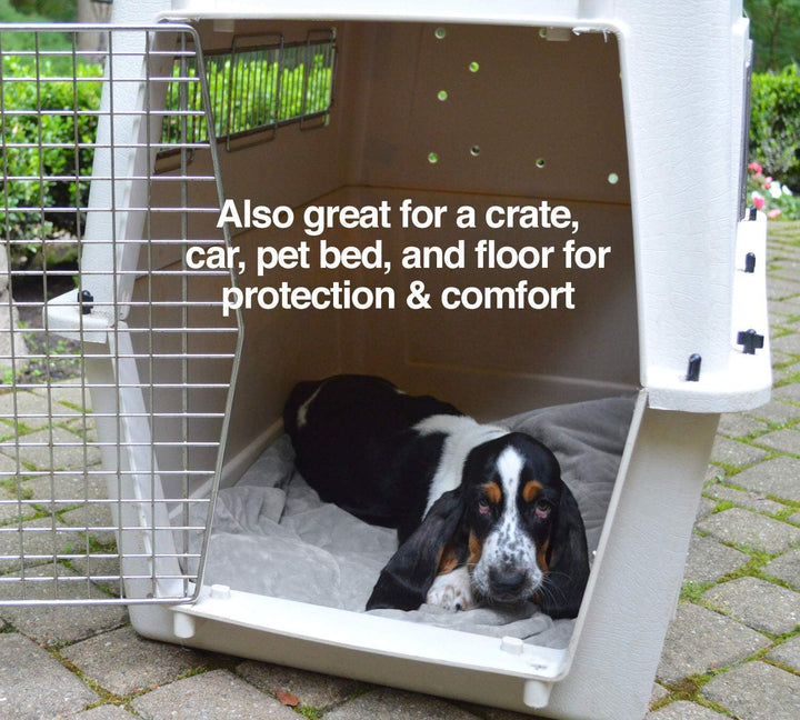 PetFusion Premium-Fleece-Hundedecke, Mikroplüsch-Katzendecke, ultraweich und gemütlich, zweifarbig,