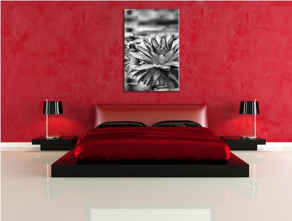 Pixxprint Anmutige Seerose mit Blättern als Leinwandbild/Grösse: 100x70 cm/Wandbild/Kunstdruck/ferti