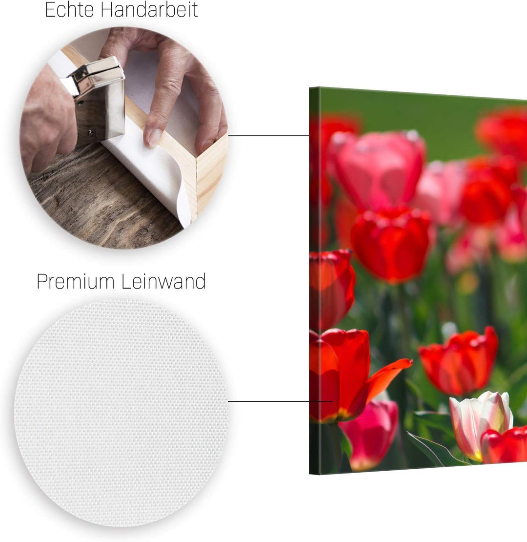 ge Bildet Bild auf Leinwand | Tulpen in 70x50 cm als Wandbild | Wand-deko Dekoration Wohnung modern