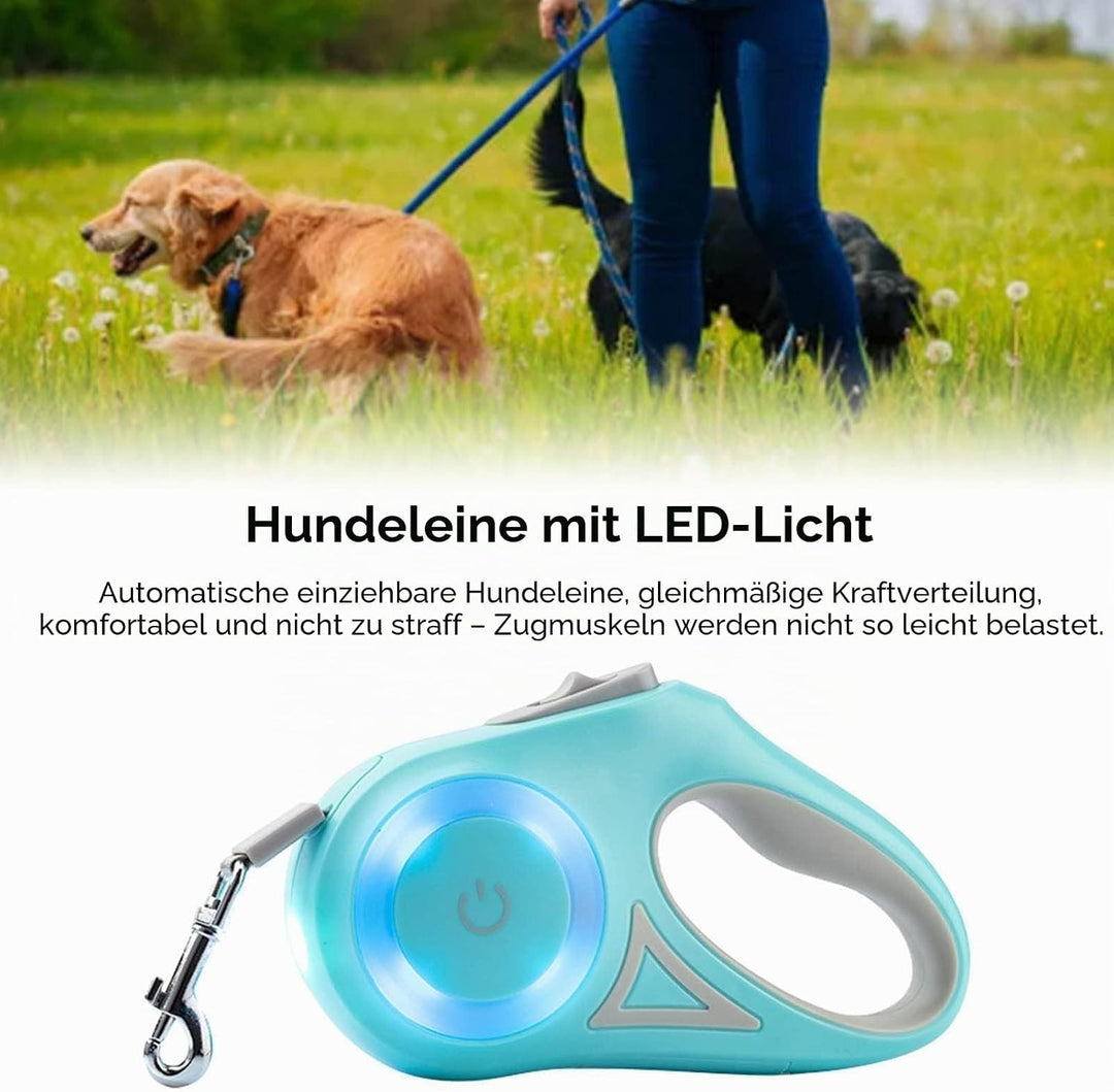 Ausziehbare LED-Hundeleine, Ausziehbare Haustierleine Mit Buntem LED-Licht, Ergonomischer Griff, Hun